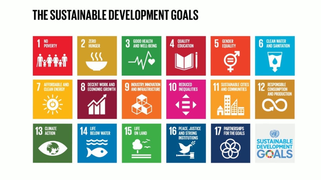 UN Sustainable Development Goals 1-17 — OOA Foundation Alignment
